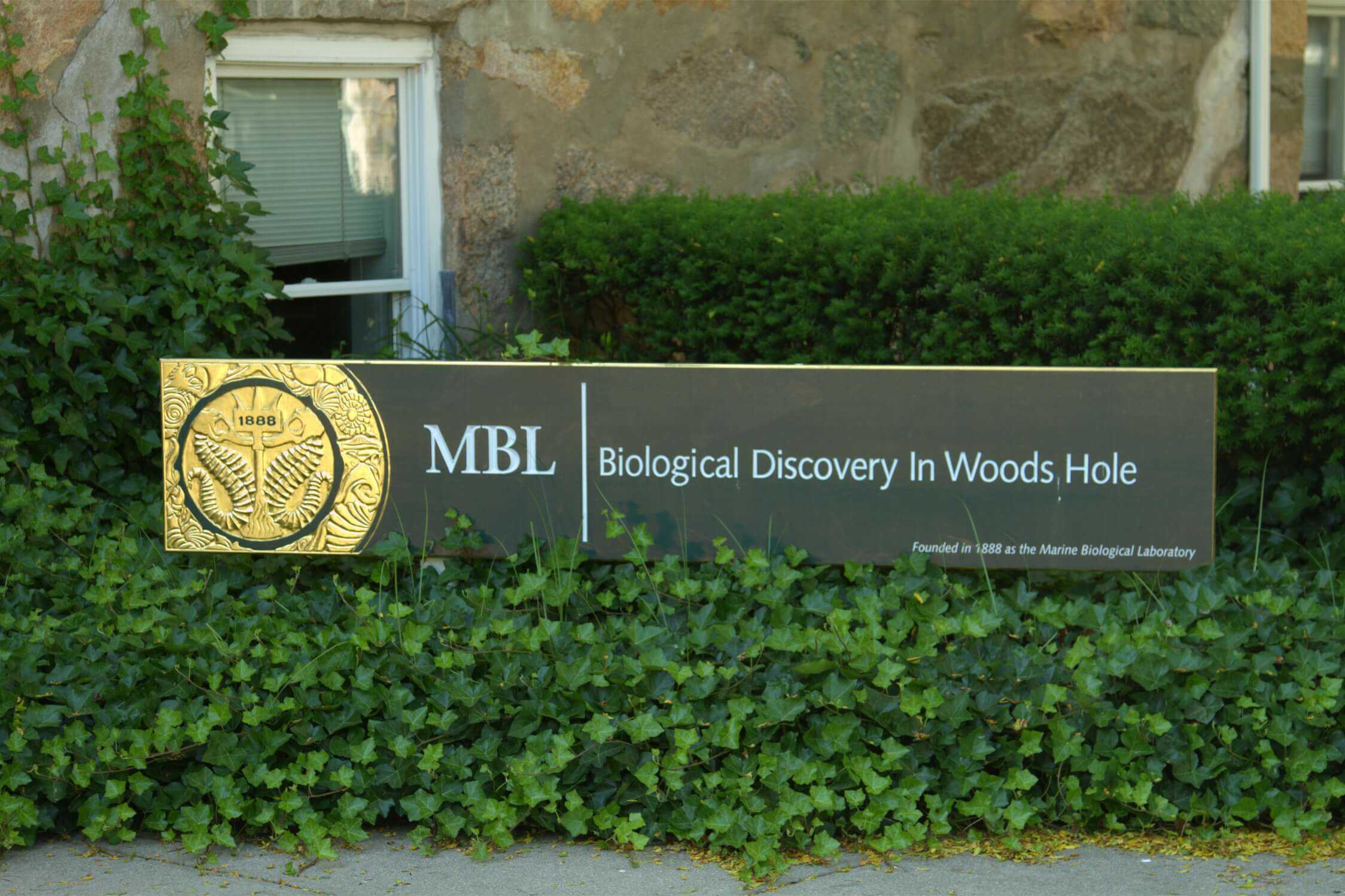 MBL Biological Discover In Woods Hole