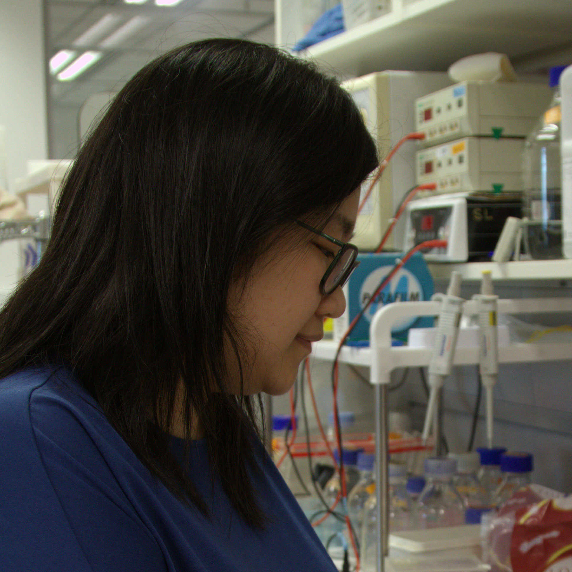 Ms. Clare Hau In Lun