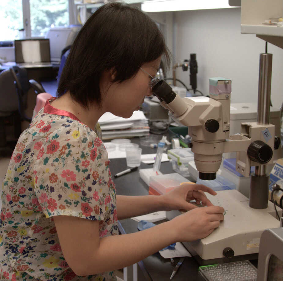 Croucher | JUSTL laboratory